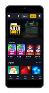 Understanding Crypto Casinos A Complete Guide -1342860840