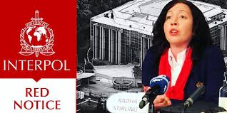 Interpol Law Firm Your Trusted Partner in International Criminal Defense