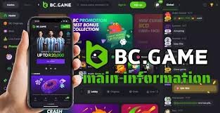 Step-by-Step Guide to BC.Game Mirror Registration Process