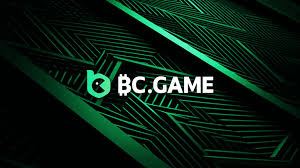 Understanding BC App Verification A Comprehensive Guide